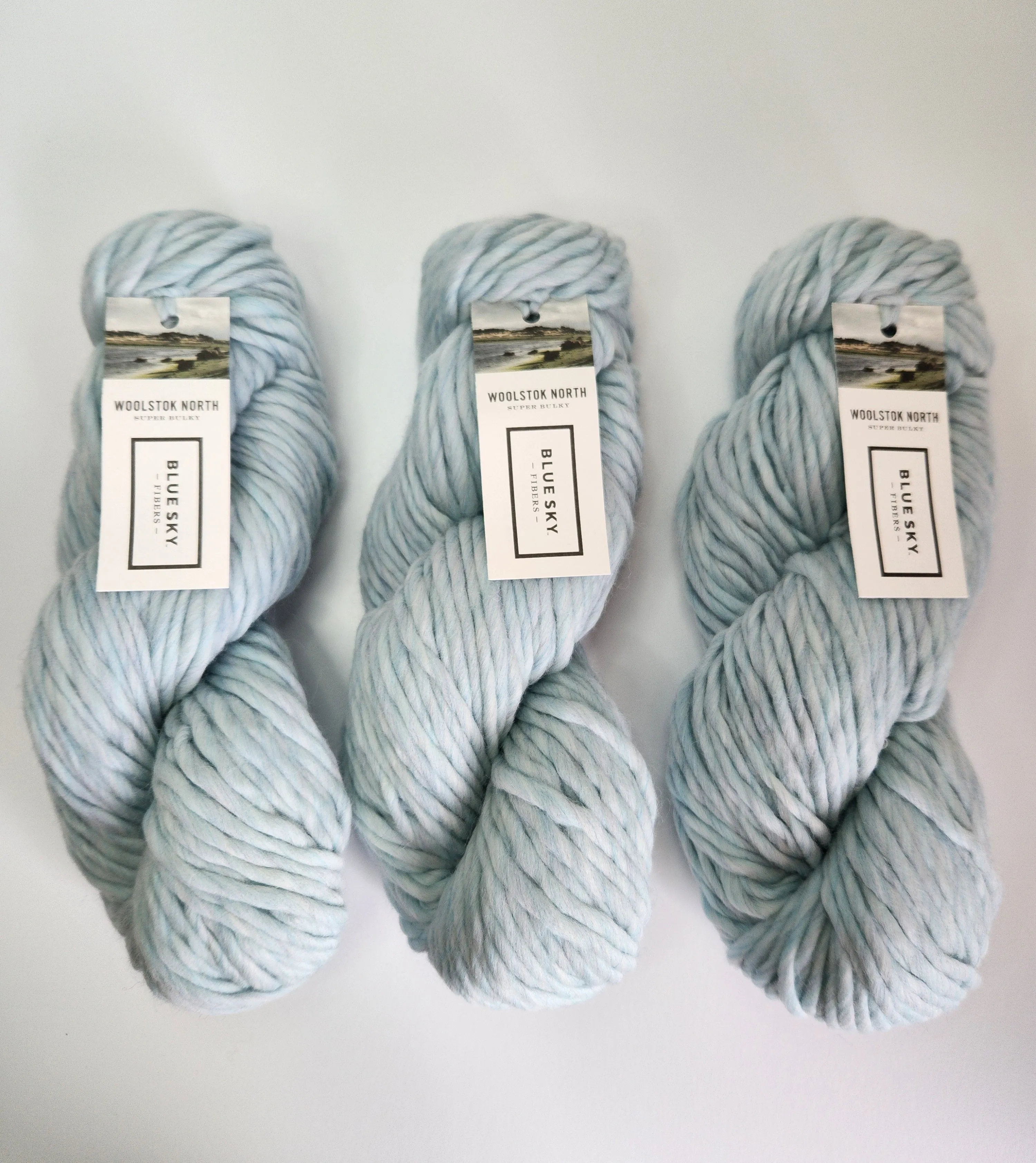 Blue Sky Fibers | Woolstok North | No. 4318 Thermal Spring