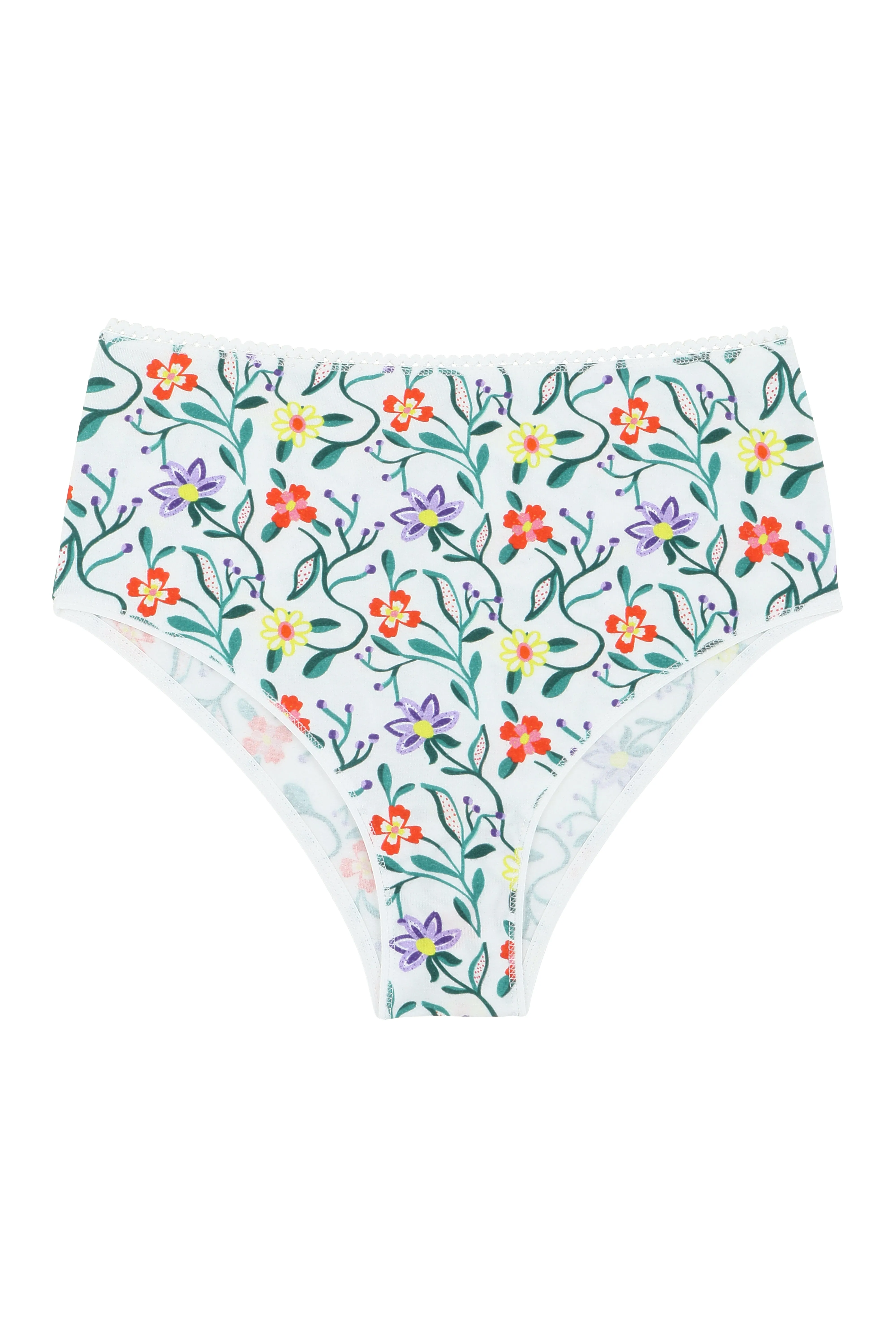 Culotte Taille Haute Coton BIO - Botanic