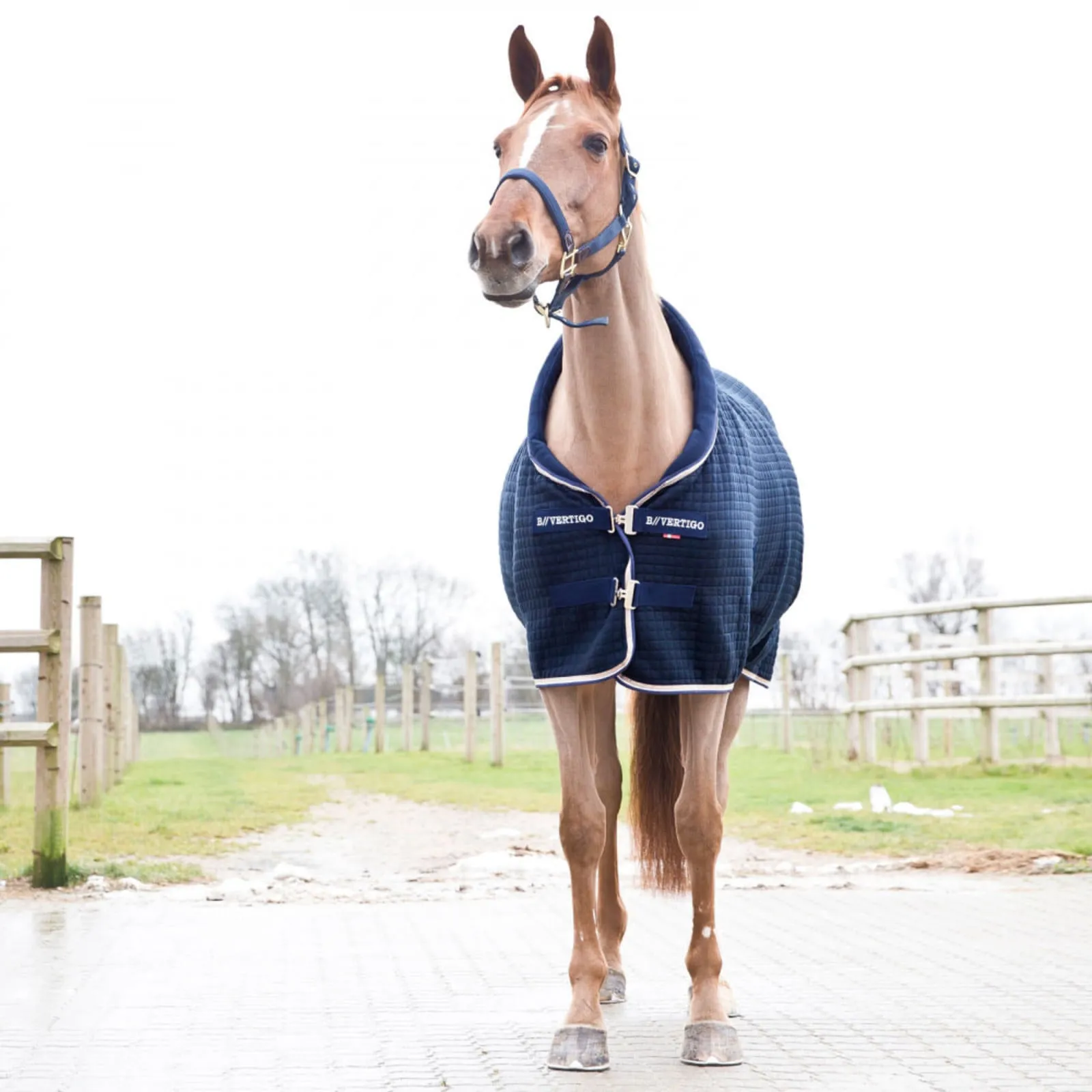 Equinavia B Vertigo Theo Thermo Wool Mix Stable Blanket - Dark Navy 24552