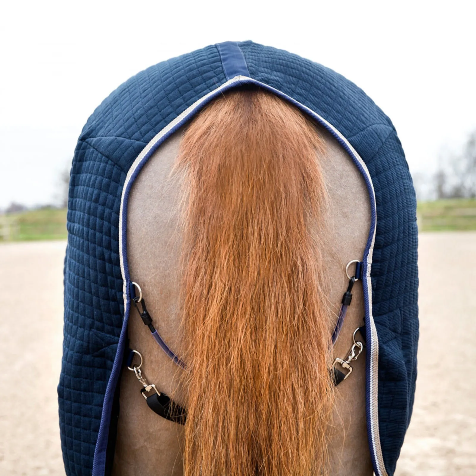 Equinavia B Vertigo Theo Thermo Wool Mix Stable Blanket - Dark Navy 24552