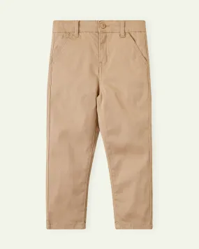 Khaki Regular Fit Chinos