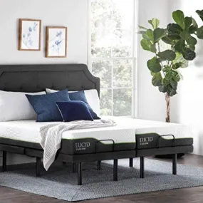 Lucid L300 Split King Adjustable Bed Base with Lucid 12 inch Latex Hybrid Split King Mattress